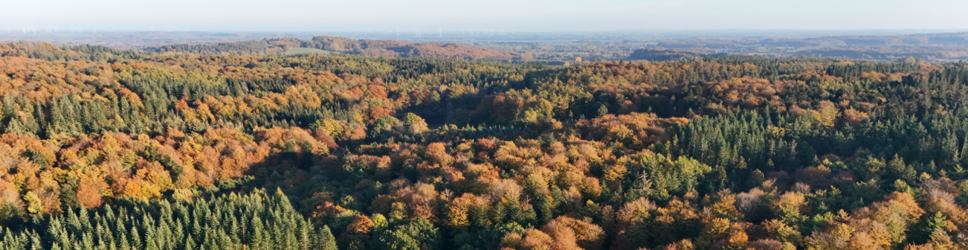 Natur Park Hüttener Berge